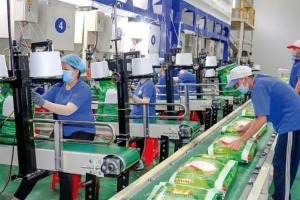 Cổ phiếu Nông nghiệp Công nghệ cao Trung An đứng trước nguy cơ rời sàn