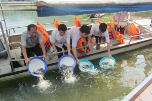 Đồng Tháp tăng cường bảo vệ, tái tạo và phát triển nguồn lợi thủy sản năm 2024