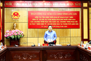 TP. Lạng Sơn thu ngân sách Nhà nước đạt 101 tỷ đồng trong quý I