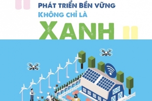 Tập đoàn Mavin lần đầu tiên phát hành báo cáo riêng về phát triển bền vững