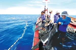Khai thác thủy sản không có Giấy phép bị phạt tới 100 triệu đồng