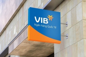 VIB sẽ chốt danh sách cổ đông chia cổ tức bằng tiền mặt, tỷ lệ 6,5% vào ngày 19/4