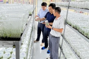 Chuyển đổi số, chuyển đổi xanh để bứt phá