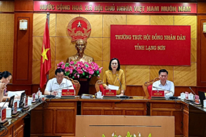 Lạng Sơn: Họp phiên chất vấn về thực hiện quy định của pháp luật đối với công tác giáo dục hòa nhập cho người khuyết tật