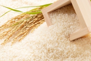 Giá lúa gạo hôm nay 16/4: Giá gạo giảm nhẹ