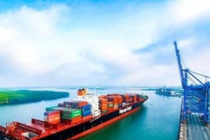 Cảng Phước An tiếp tục lỗ thêm 1,49 tỷ đồng so với cùng kỳ