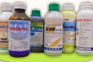 Xử lý nghiêm hành vi vi phạm trong việc sản xuất, kinh doanh, sử dụng chế phẩm diệt côn trùng, diệt khuẩn dùng trong gia dụng và y tế
