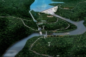 CTCP Thiết bị phụ tùng Sài Gòn báo lỗ trong quý I/2024