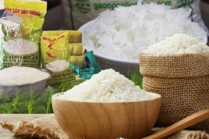 Thông tin gạo ST24, ST25 được ưu đãi thuế xuất sang EU là không chính xác