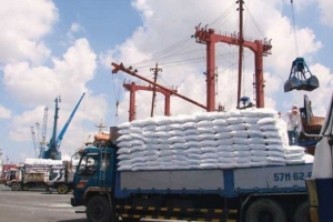 Việt Nam nhập khẩu phân bón nhiều nhất từ đâu ?