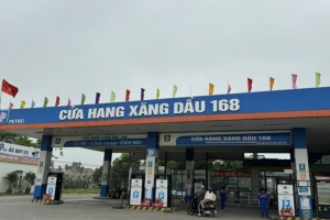Vĩnh Phúc : Công ty TNHH MTV đầu tư và xây dựng 168 bị xử phạt hành chính