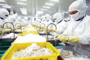 VASEP đề xuất “hai gói” hỗ trợ ứng phó nguy cơ áp thuế từ Mỹ, bảo vệ ngành thủy sản