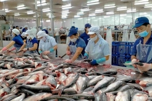 Xuất khẩu thủy sản dự báo giảm mạnh trong quý IV do tác động từ thuế và rào cản kỹ thuật