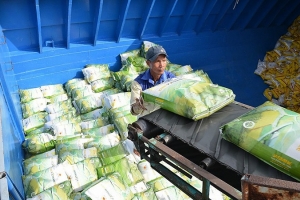 Cần thiết thành lập Sàn giao dịch gạo tiêu chuẩn Việt Nam