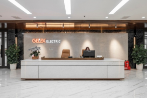 CTCP GELEX Electric (GEE) nộp hồ sơ niêm yết 300 triệu cổ phiếu trên sàn HOSE