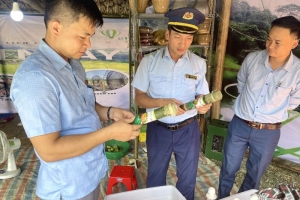 Cục Quản lý thị trường Thanh Hóa nâng cao công tác phổ biến giáo dục pháp luật năm 2024