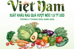 Xuất khẩu rau quả vượt 1,8 tỷ USD trong 4 tháng đầu năm 2024