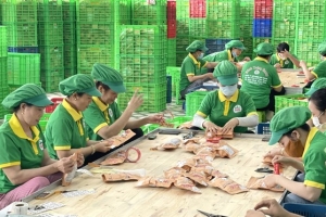 Bình Định: Hoài Nhơn nâng cao chất lượng sản phẩm OCOP