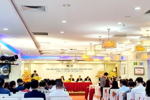 Tập đoàn C.E.O (CEO) : Tập trung vào 3 dự án trọng điểm trong năm 2024
