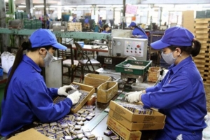 Pin Hà Nội (PHN) chốt quyền chia cổ tức 50% bằng tiền mặt trong quý I/2024