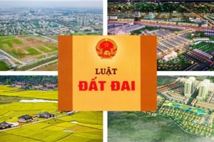 Xây dựng các văn bản quy định chi tiết thi hành Luật Đất: "Chất lượng, hiệu quả là trên hết"