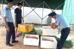 Quảng Ninh thu giữ 800 kg trứng gà non không rõ nguồn gốc