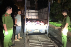 Vĩnh Phúc : Tiêu hủy hơn 4 tấn thịt lợn không đảm bảo an toàn thực phẩm