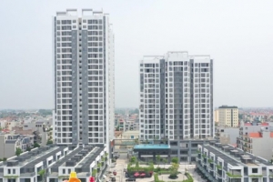 Xử phạt vi phạm hành chính Công ty cổ phần BV Land với tổng mức phạt 172,5 triệu đồng