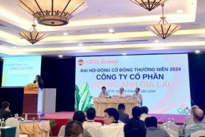 Năm 2024, HAG lên kế hoạch doanh thu 7.750 tỷ đồng, IPO công ty chăn nuôi