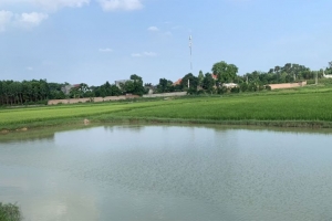Đi tắm hồ, 2 học sinh bị đuối nước