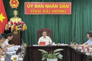 Đấu giá chọn nhà đầu tư 2 dự án nhà ở cao tầng tại Hải Dương