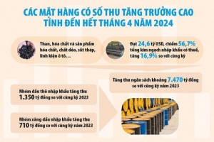 Ngành Hải quan thu ngân sách đạt kết quả tích cực