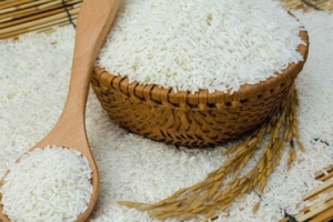 USDA: Các nguồn nhập khẩu gạo tới Philippines hiện chủ yếu đến từ Việt Nam