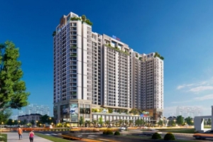 DIC Holdings (DC4) : Kế hoạch chào bán 28,87 triệu cổ phiếu cho cổ đông hiện hữu