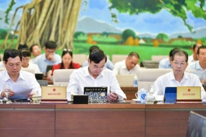 Đề xuất thí điểm thành lập khu thương mại tự do và 21 chính sách đặc thù phát triển thành phố Đà Nẵng