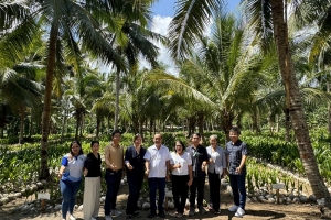 Cơ hội hợp tác ngành dừa Việt Nam - Philippines