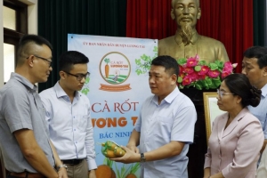 Công bố Văn bằng bảo hộ sở hữu trí tuệ Nhãn hiệu chứng nhận Cà rốt Lương Tài và Mỳ gạo Tử Nê