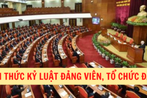Kỷ luật hành chính đối với người bị cách tất cả các chức vụ trong Đảng như thế nào?