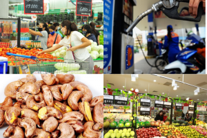 Chính phủ có lộ trình phù hợp điều chỉnh giá các hàng hóa, dịch vụ do Nhà nước quản lý