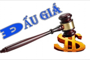 Quốc hội thảo luận tại hội trường về dự thảo Luật sửa đổi, bổ sung một số điều của Luật Đấu giá tài sản