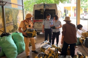 Cảnh sát giao thông Bắc Giang bắt giữ 2 xe ô tô vận chuyển hàng hóa không có hóa đơn, chứng từ