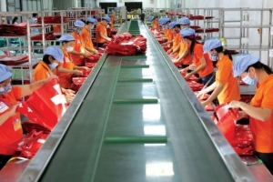 Thuận Đức dự kiến phát hành hơn 8 triệu cổ phiếu trả cổ tức 2023, tỷ lệ 10%