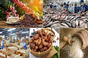 Tin vui: Giá trị xuất siêu nông lâm thủy sản 5 tháng ước đạt 6,53 tỷ USD, tăng 64,5%