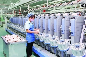 Dệt may Thành Công (TCM): Thực hiện thưởng cổ phiếu, tỷ lệ 10%
