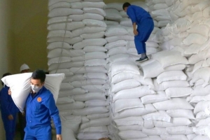 VFA được yêu cầu xác minh thông tin việc doanh nghiệp xuất khẩu gạo 'bỏ thầu giá thấp' và báo cáo về Bộ Công thương
