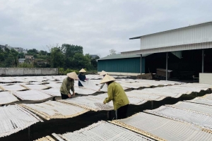 Quảng Ninh khuyến khích đầu tư, liên kết sản xuất, chế biến, tiêu thụ nông sản