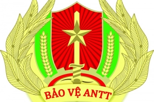 Đề xuất hỗ trợ Tổ trưởng Tổ bảo vệ an ninh, trật tự bằng 0,7 hệ số lương cơ sở/người/tháng