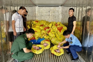 Kiểm tra, phát hiện, tạm giữ hơn 5 tấn móng giò lợn đông lạnh không rõ nguồn gốc