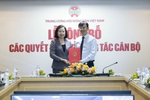 Phó Tổng Biên tập báo Nông thôn Ngày nay giữ chức vụ Tổng Biên tập