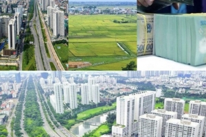 Chính phủ trình Quốc hội cho phép thi hành sớm Luật Đất đai và 3 luật khác từ ngày 1/8